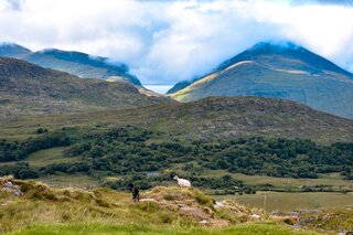 Ierland & Dublin - Killarney - Buitenhof Reizen begeleide vakanties voor mensen met een verstandelijke beperking mee