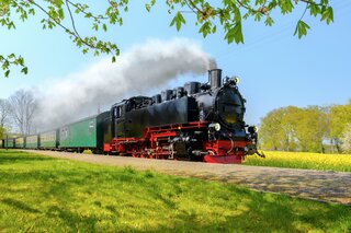 AV Du RÃ¼gen - Foto 4