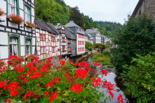 Eifel-center parcs park eifel - bloemen en riviertje – Buitenhof Reizen begeleide vakanties voor mensen met een verstandelijke beperking