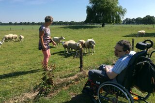 Beilen - twee mensen kijkend naar de schapen - Buitenhof Reizen begeleide vakanties voor mensen met een verstandelijke beperking. 