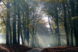 Parc Spelderholt - Hoge Veluwe - Buitenhof Reizen begeleide vakanties voor mensen met een verstandelijke beperking