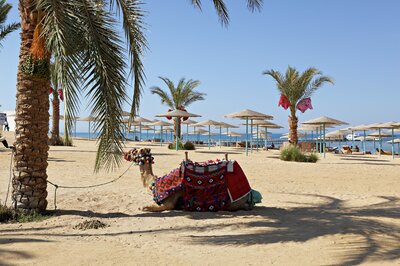 Hurghada