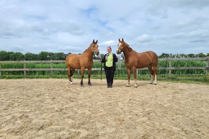 Woudenberg - Reiziger met paard - Buitenhof Reizen begeleide vakanties voor mensen met een verstandelijke beperking.