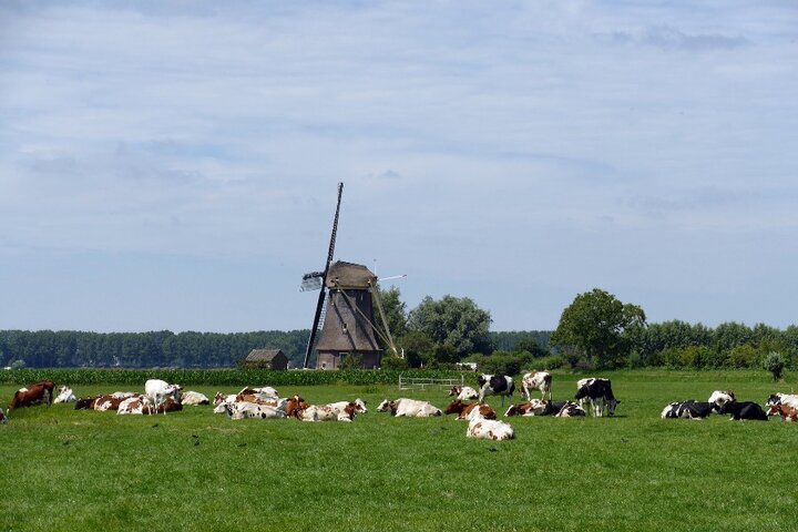 Wandelen vanuit Deventer - Weiland - Buitenhof Reizen begeleide vakanties voor mensen met een verstandelijke beperking.