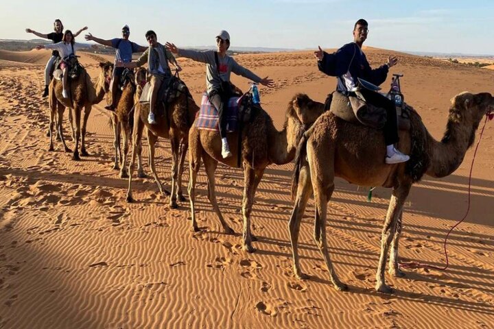 Marokko - groep op kamelen - Buitenhof Reizen begeleide vakanties voor mensen met een verstandelijke beperking