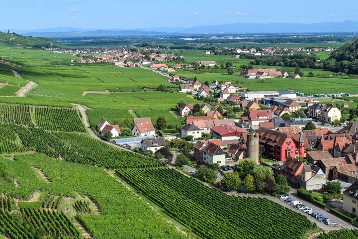 Buitenhof Reizen - Elzas - begeleide vakanties voor mensen met een beperking - Mooie velden met huisjes
