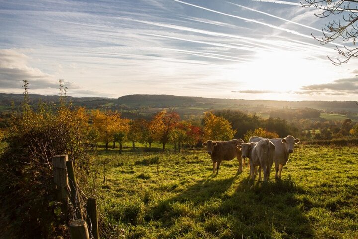 Wandelen Limburg - Buitenhof Reizen begeleide vakanties voor mensen met een verstandelijke beperking