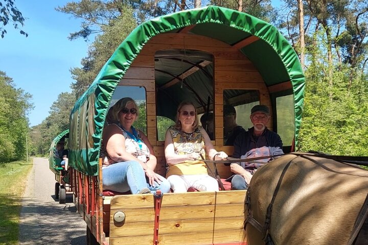 Texel - Huifkartocht - Buitenhof Reizen begeleide vakanties voor mensen met een verstandelijke beperking