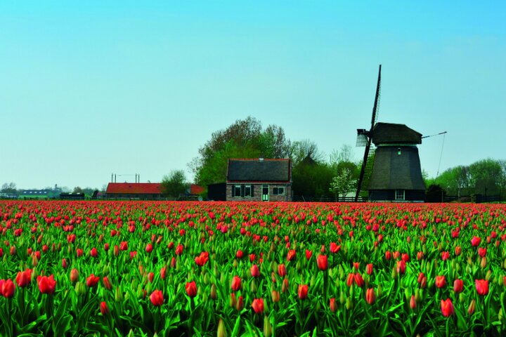 Riviercruise - tulpen - Buitenhof Reizen begeleide vakanties voor mensen met een verstandelijke beperking.