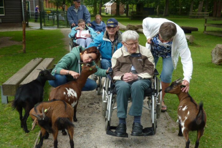 Beilen - groep bij de kinderboerderij - Buitenhof Reizen begeleide vakanties voor mensen met een verstandelijke beperking. 