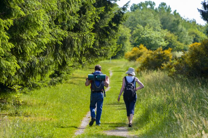 Eifel-center parcs park eifel - wandelen door het bos – Buitenhof Reizen begeleide vakanties voor mensen met een verstandelijke beperking