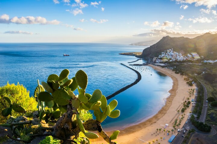 Tenerife - cactus en zee -Buitenhof Reizen begeleide vakanties voor mensen met een verstandelijke beperking. 