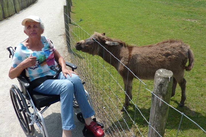 De Moer - vrouw in rolstoel met ezel - Buitenhof Reizen begeleide vakanties voor mensen met een verstandelijke beperking