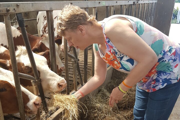 Boerderijvakantie Heeten - Koe eten geven - Buitenhof Reizen begeleide vakanties voor mensen met een verstandelijke beperking