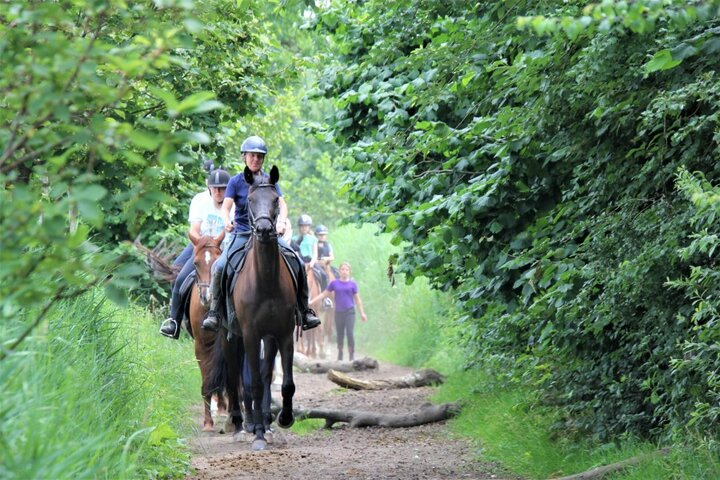 Paardrijvakantie Woudenberg - Rijden in het bos - Buitenhof Reizen begeleide vakanties voor mensen met een verstandelijke beperking