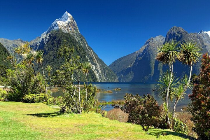 Nieuw Zeeland - Tropisch landschap - Buitenhhof Reizen begeleide vakanties voor mensen met een verstandelijke beperking