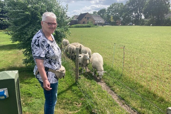 Beilen - Reiziger met schapen - Buitenhof Reizen begeleide vakanties voor mensen met een verstandelijke beperking.