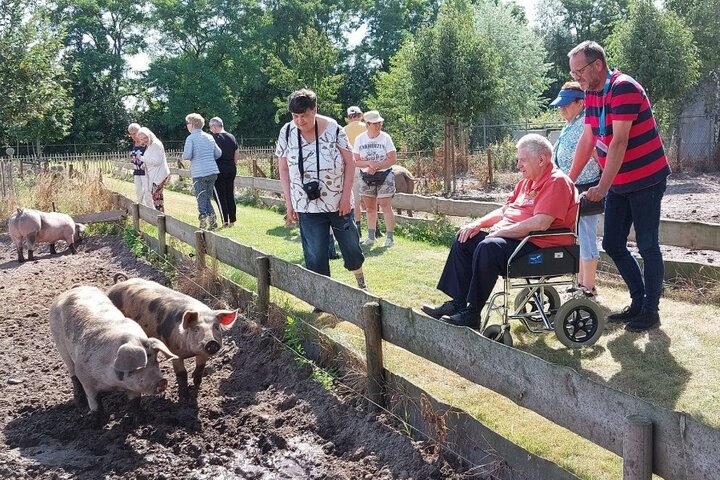 De Moer - Reizigers bij varkens - Buitenhof Reizen begeleide vakanties voor mensen met een verstandelijke beperking.