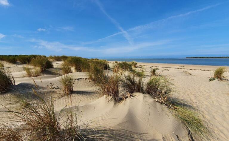 Buitenhof Reizen voor mensen met een verstandelijke beperking - Ile d'Oleron - strand