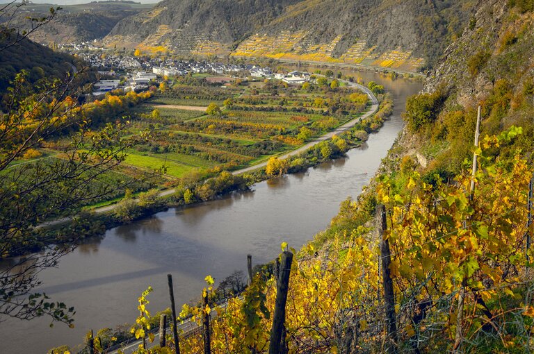 Buitenhof Reizen voor mensen met een verstandelijke beperking - zorg - Neuerburg - natuur met rivier de Moezel