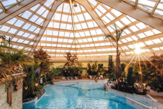 Buitenhof Reizen - Belgische kust - Begeleide vakanties voor mensen met een beperking - Center Parcs de Haan