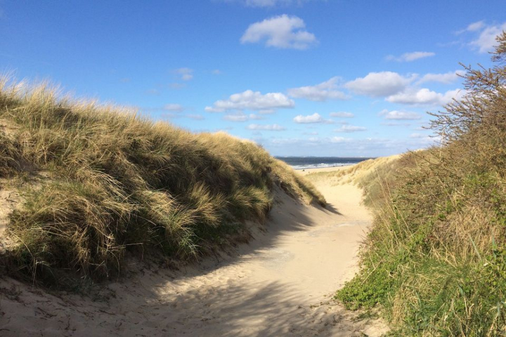 Buitenhof Reizen - Zomers Zeeland - Begeleide vakanties voor mensen met een beperking - Strand