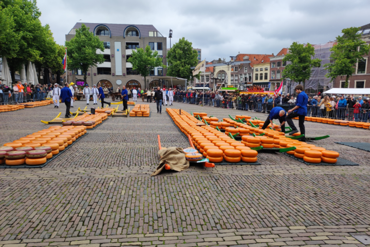 Buitenhof Reizen - De Rijp - begeleide vakanties voor mensen met een beperking - Kaasmarkt