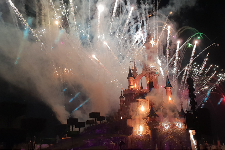 Buitenhof Reizen - Disneyland Grote bus - begeleide vakanties voor mensen met een beperking - Disneyland (2)