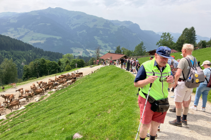 De bergen van Tirol - begeleide vakanties voor mensen met een beperking - Wildpark Aurach