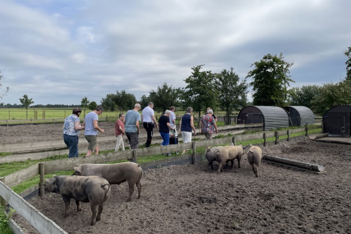 Buitenhof Reizen - de Moer - begeleide vakanties voor mensen met een beperking - Reizigers bij varkens