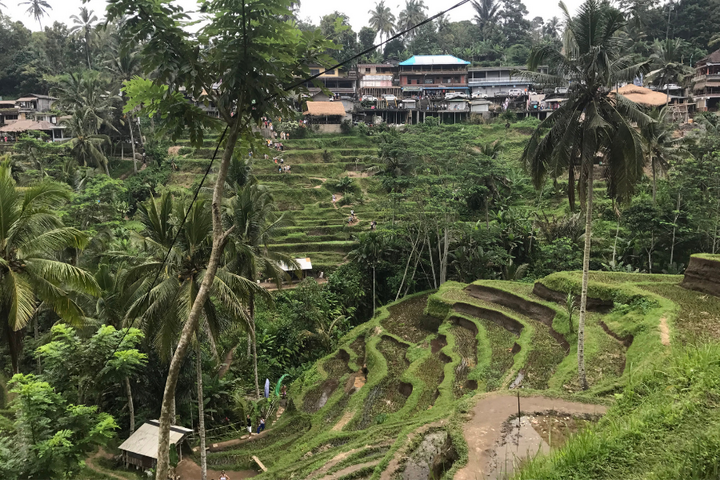 Buitenhof Reizen - Bali - begeleide vakanties voor mensen met een beperking - Jatiluwih