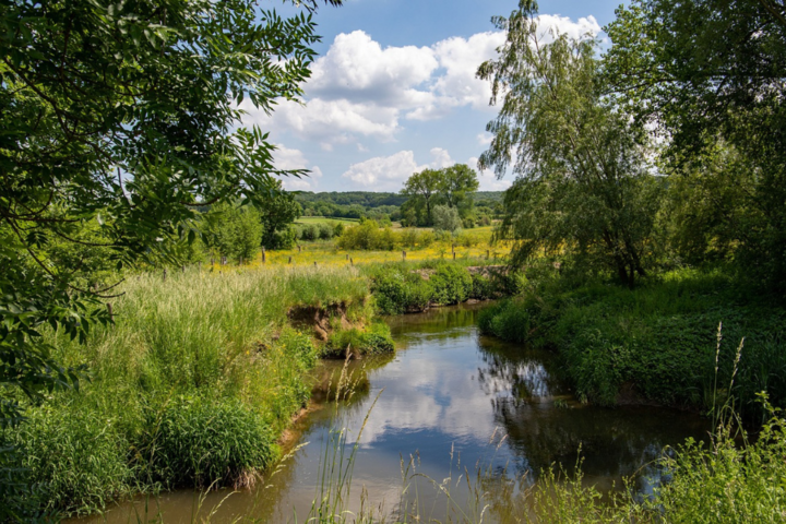 Buitenhof Reizen - Gastvrij Noord-Limburg - begeleide vakanties voor mensen met een beperking - Natuur