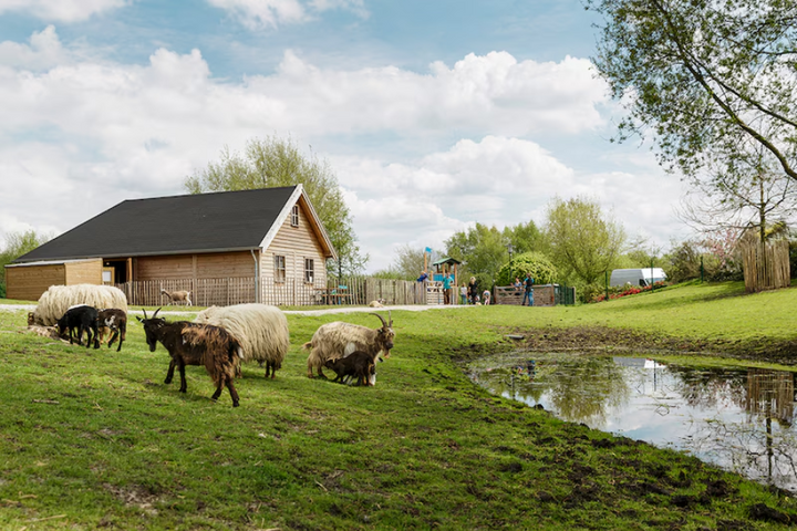 Buitenhof Reizen - Emmen - begeleide vakanties voor mensen met een beperking - Center Parcs Parc Sandur kinderboerderij