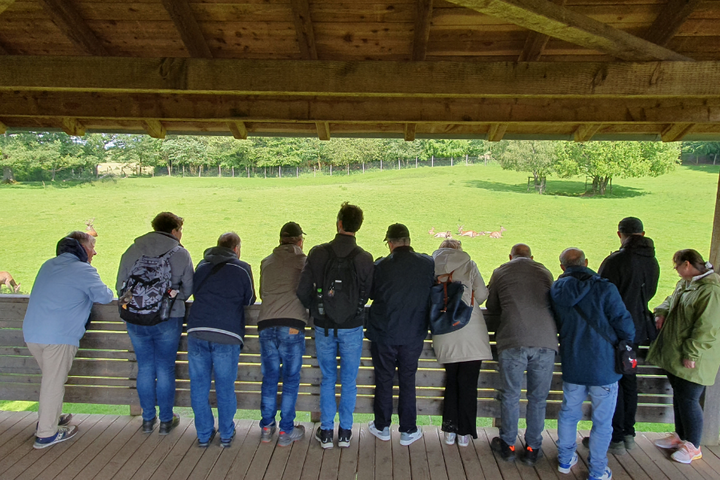Buitenhof Reizen - Winterberg - begeleide vakanties voor mensen met een beperking - Reizigers kijken naar herten