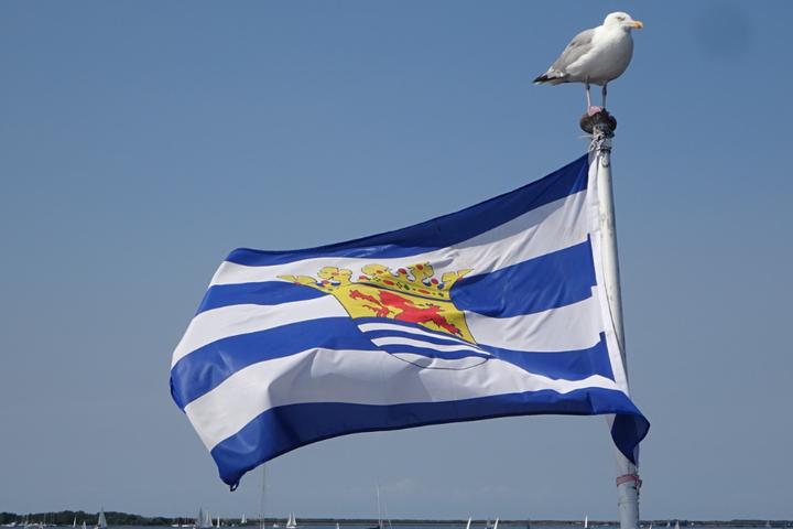 Buitenhof Reizen - Zomers Zeeland - begeleide vakanties voor mensen met een beperking - Zeeuwse vlag