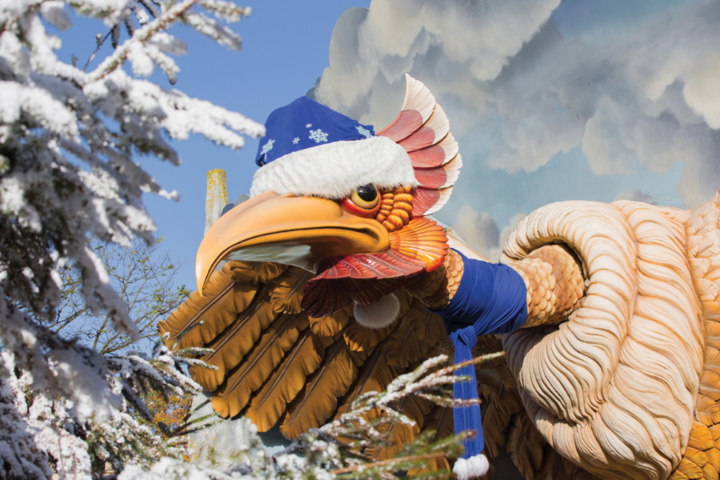 Buitenhof Reizen - Winter Efteling - begeleide groepsreizen met een verstandelijke beperking -  Winter Efteling Vogelrok