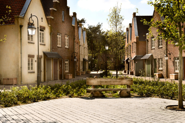 Buitenhof Reizen - Efteling Bosrijk JO - begeleide groepsreizen met een verstandelijke beperking - dorpsplein