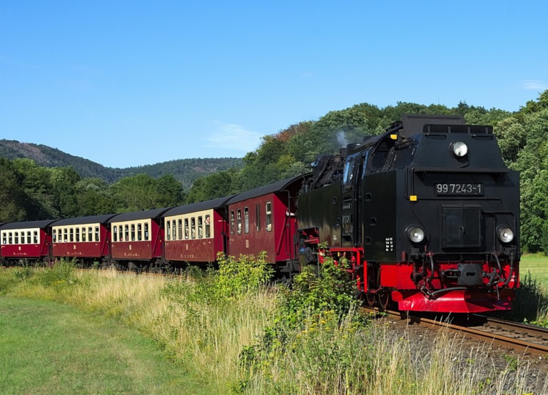 Buitenhof Reizen voor mensen met een verstandelijke beperking - Avontuurlijk - de Harz - Stoomtrein