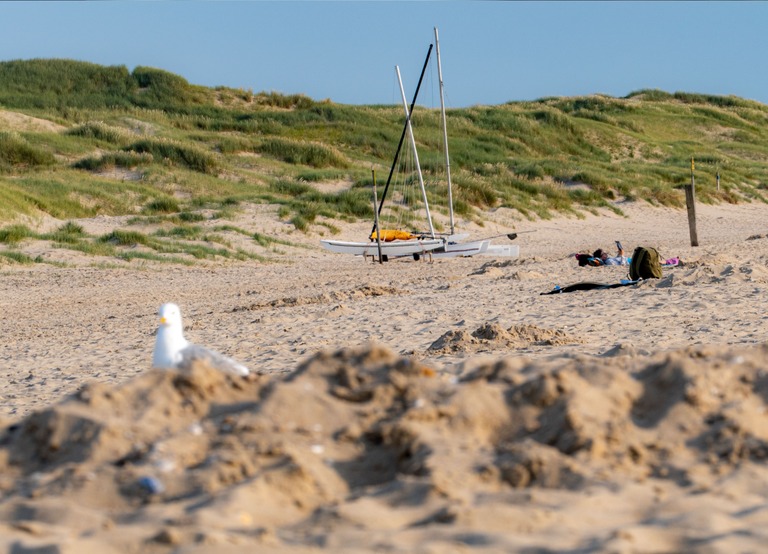 Buitenhof Reizen voor mensen met een verstandelijke beperking - Ondernemend - Avontuur aan Zee in Julianadorp - Strand met meeuw en bootje