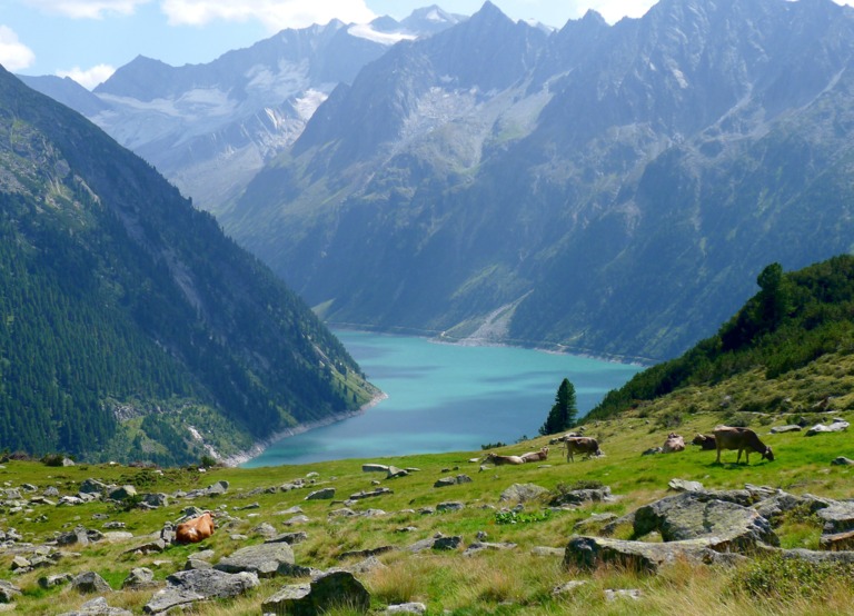 Buitenhof Reizen voor mensen met een verstandelijke beperking - Ondernemend - Bloeiend Zillertal en Achensee - meer