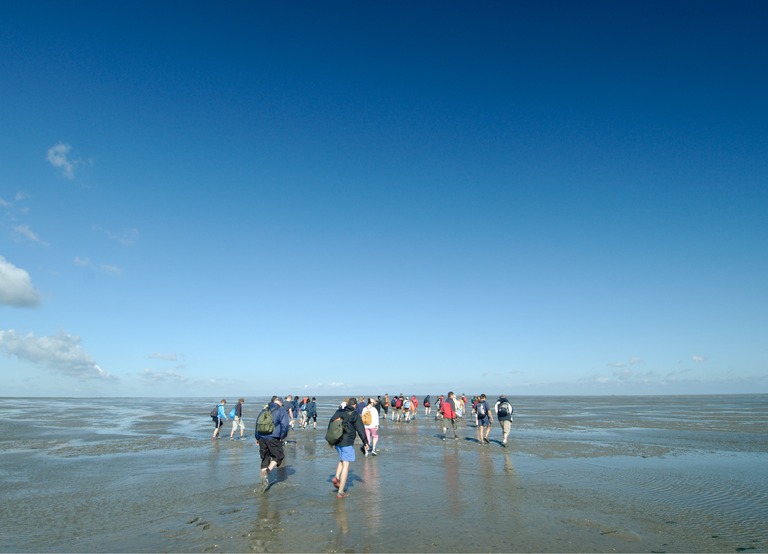 Buitenhof Reizen - Begeleide groepsreizen voor mensen met een verstandelijke beperking - Texel - Groep reizigers lopend op het strand