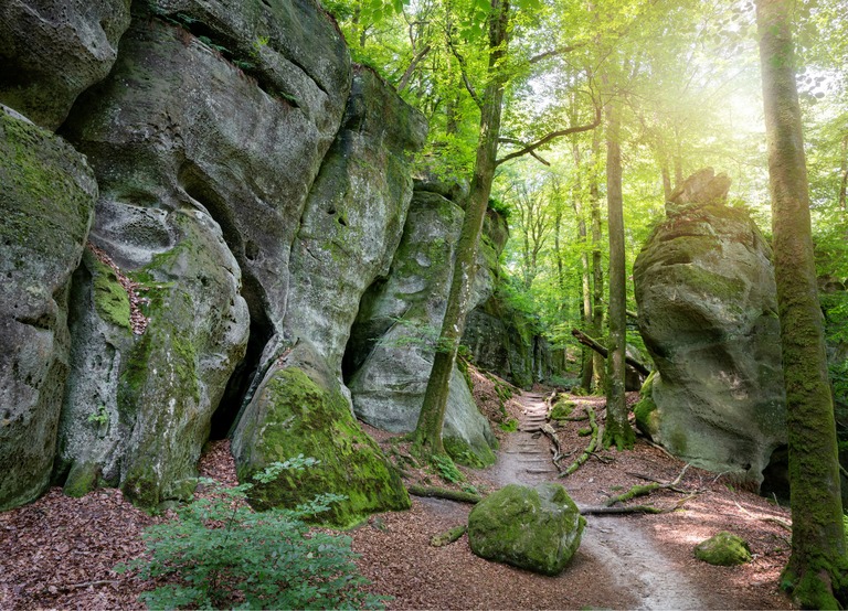 Buitenhof Reizen - Begeleide groepsreizen voor mensen met een verstandelijke beperking - Wandelen in Luzemburg - MÃ¼llerthal