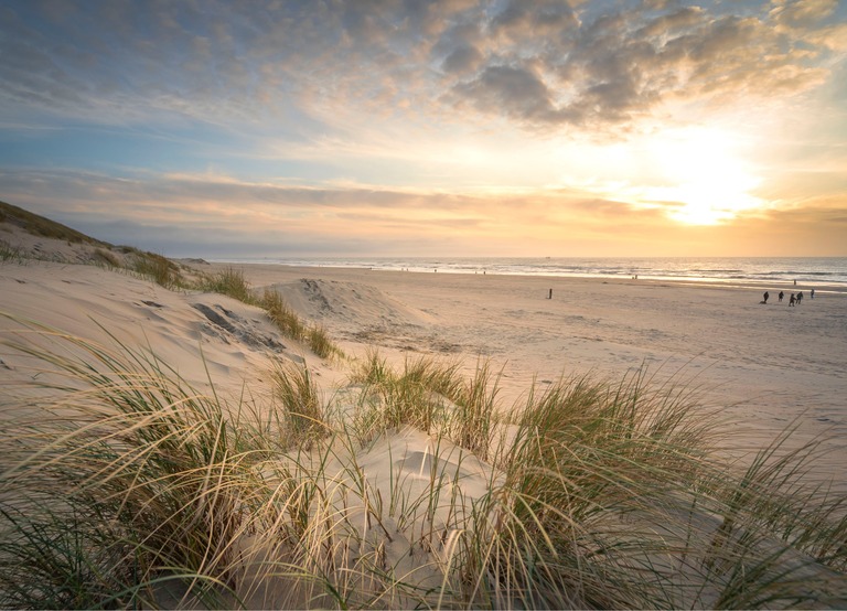 Buitenhof Reizen - Begeleide groepsreizen voor mensen met een verstandelijke beperking - Beleef de kust in Julianadorp - duinen 