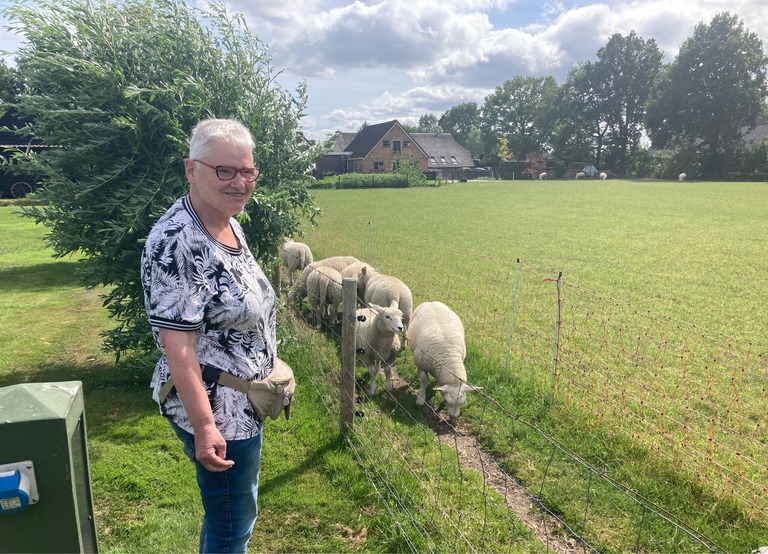 Buitenhof Reizen - Begeleide groepsreizen voor mensen met een verstandelijke beperking - Drents Beilen - Reizigers bij schapen