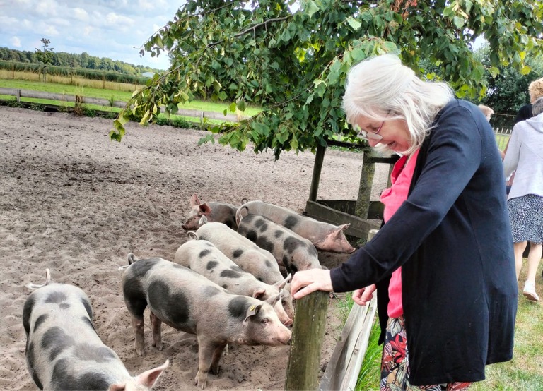 Buitenhof Reizen - Begeleide groepsreizen voor mensen met een verstandelijke beperking - De Moer - reiziger bij varkens