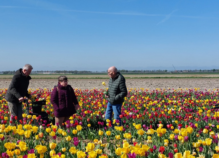 Buitenhof Reizen - Begeleide groepsreizen voor mensen met een verstandelijke beperking - De Tulpenroute - drie reizigers in een tulpenveld