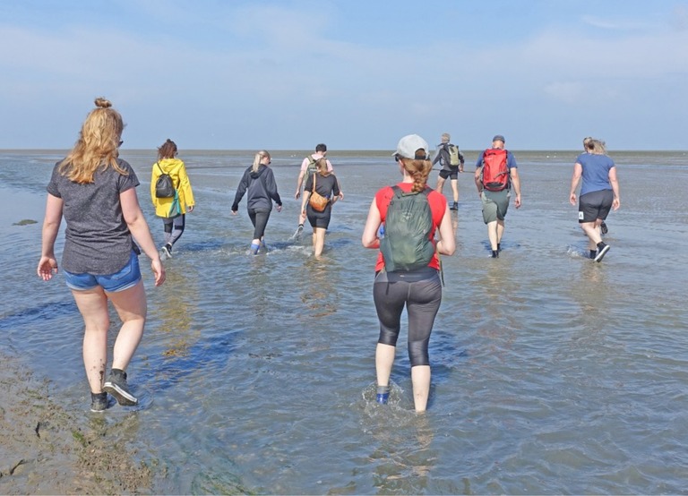 Buitenhof Reizen - Begeleide groepsreizen voor mensen met een verstandelijke beperking - Wadlopen op Texel (jo) - reizigers lopend over het wad