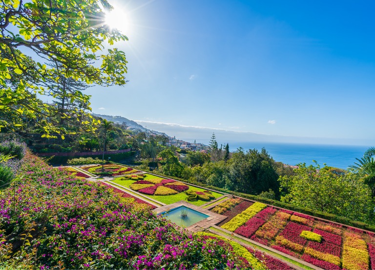 Buitenhof Reizen - Begeleide groepsreizen voor mensen met een verstandelijke beperking - Madeira - Bloemen